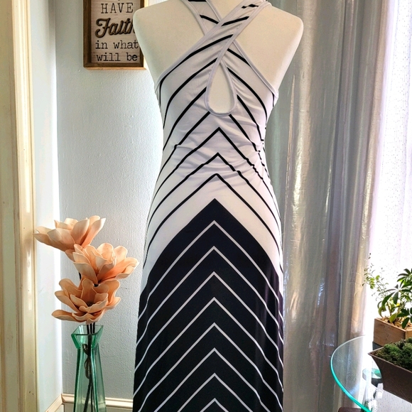 🌺HP🌺 🦓 Maxi Halter Dress - Picture 4 of 5